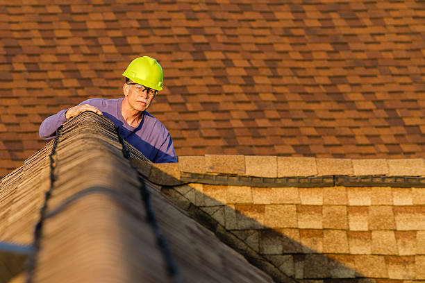 Best Roof Gutter Cleaning  in Lyles, TN